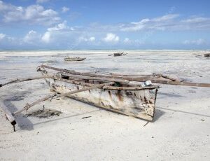 Fishing in Zanzibar